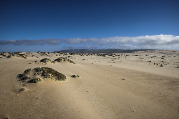 Guadalupe Sand Dunes, CA